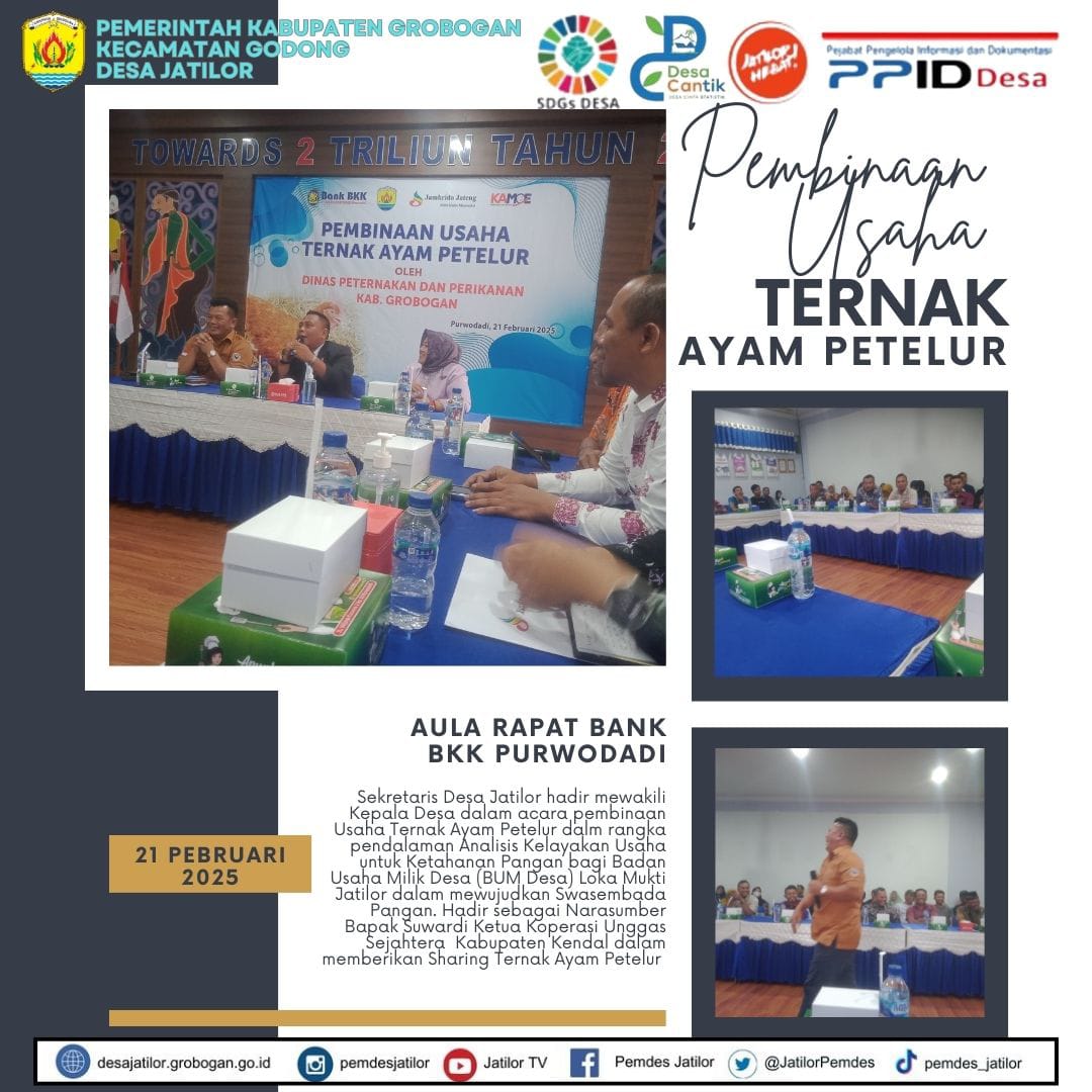 Pembinaan Usaha Ternak Ayam Petelur