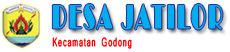 logo desa jatilor 14